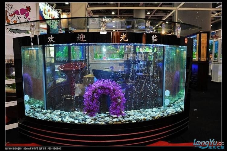 如何獲取廣州水族展的門票信息？