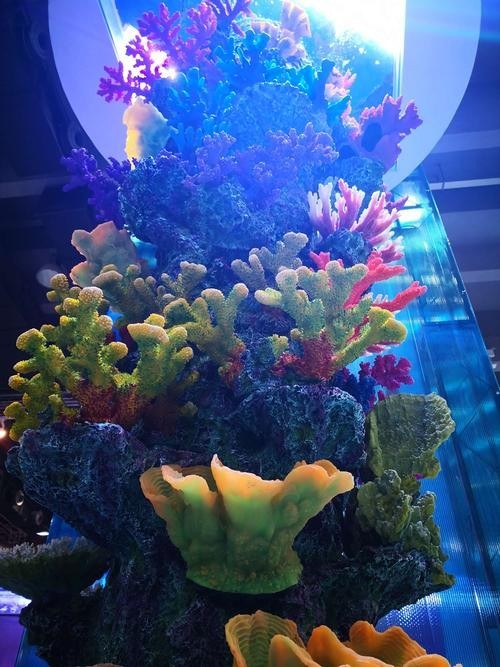 如何獲取廣州水族展的門票信息？