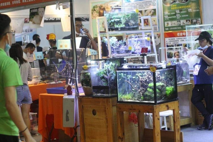 如何獲取廣州水族展的門票信息？