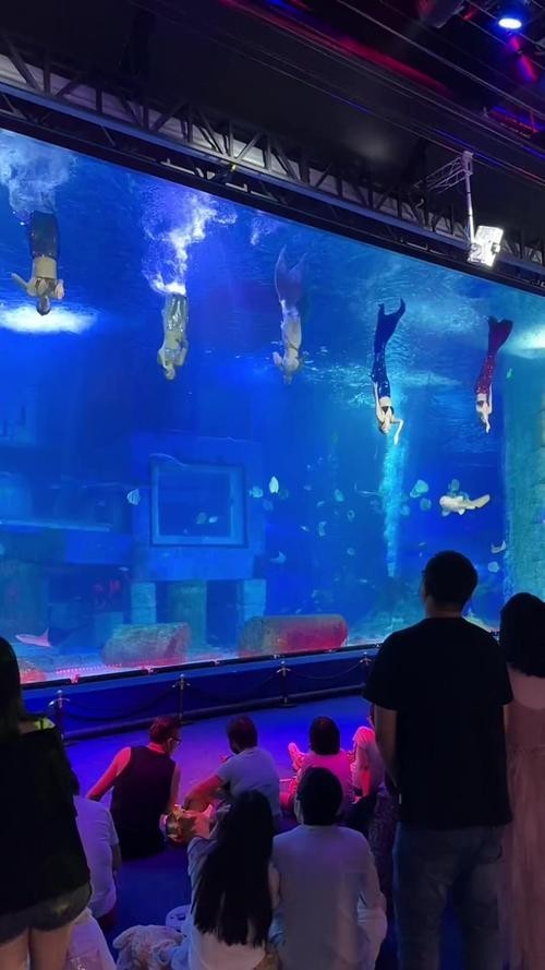 如何獲取廣州水族展的門票信息？
