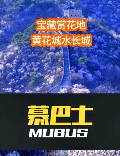 如何預訂水長城的游船？
