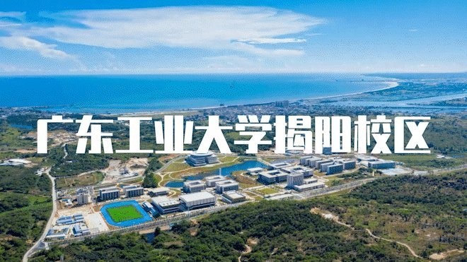 社會組別有哪些參賽隊伍？
