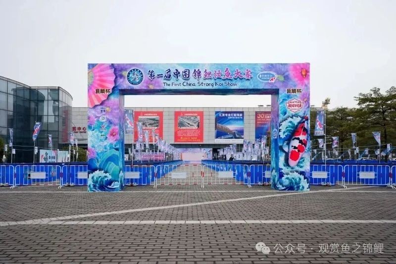 觀賞魚比賽2024年最新比賽結果