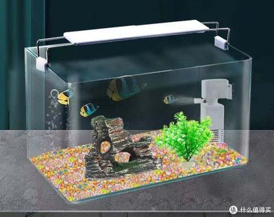 魚缸照明燈的使用與維護(hù)與壽命：觀賞魚缸照明燈的使用與維護(hù)與壽命