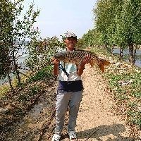 紅尾用什么打窩誘魚快