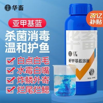 魚缸品牌排名前十的品牌（魚缸品牌排名前十的品牌排名前十的品牌）