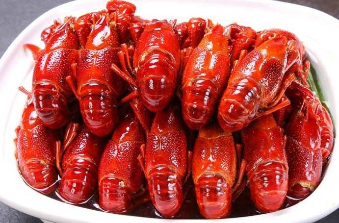 哪些魚類在冬季不需要喂食，冬季魚類喂食注意事項，冬季魚類喂食管理表，幫你清晰掌握投喂策略