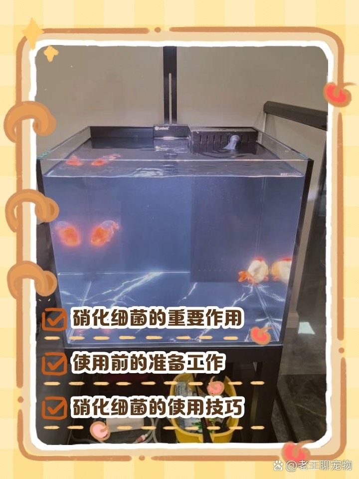如何正確使用硝化細菌？