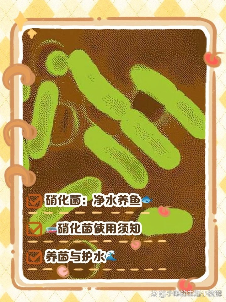 如何正確使用硝化細菌？