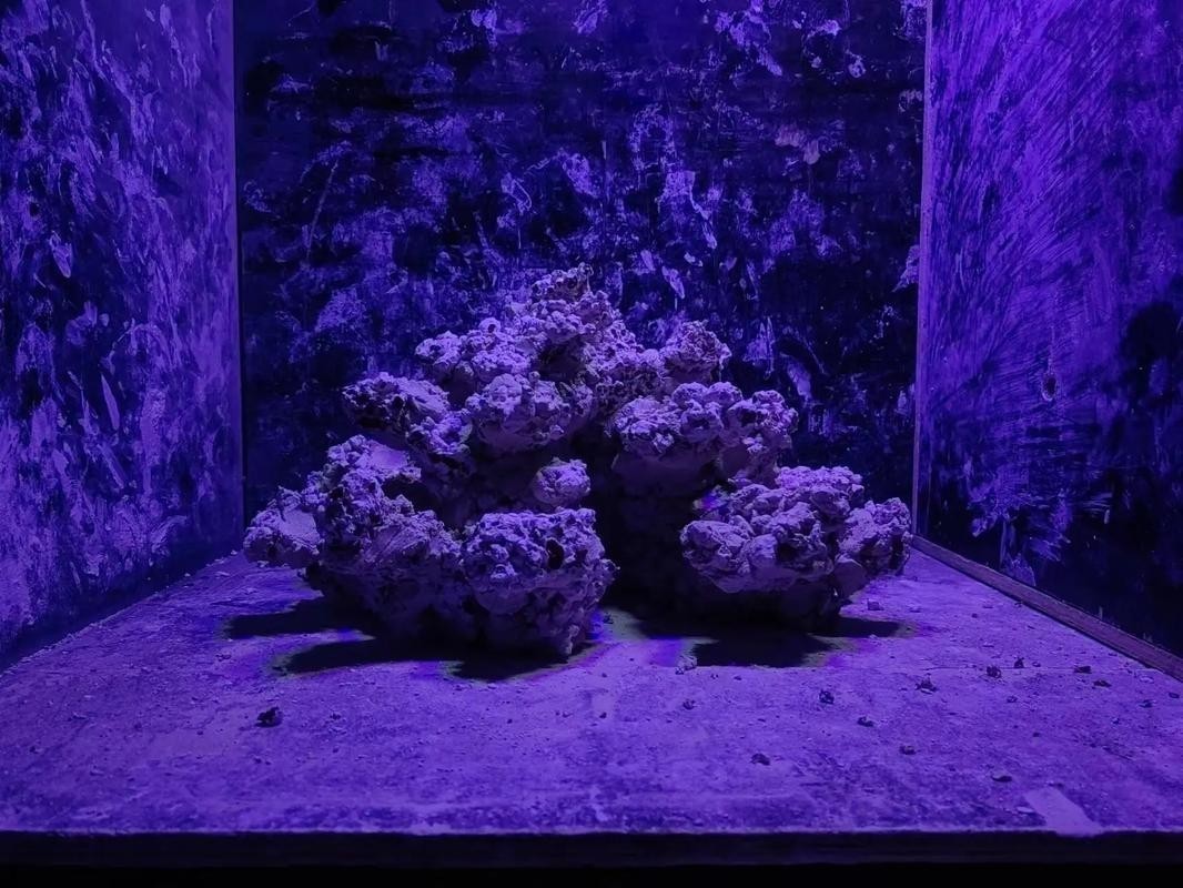 如何判斷紅龍SPS是否健康？