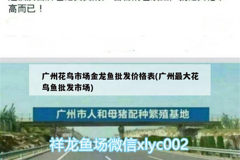 常州霆邦水族科技有限公司