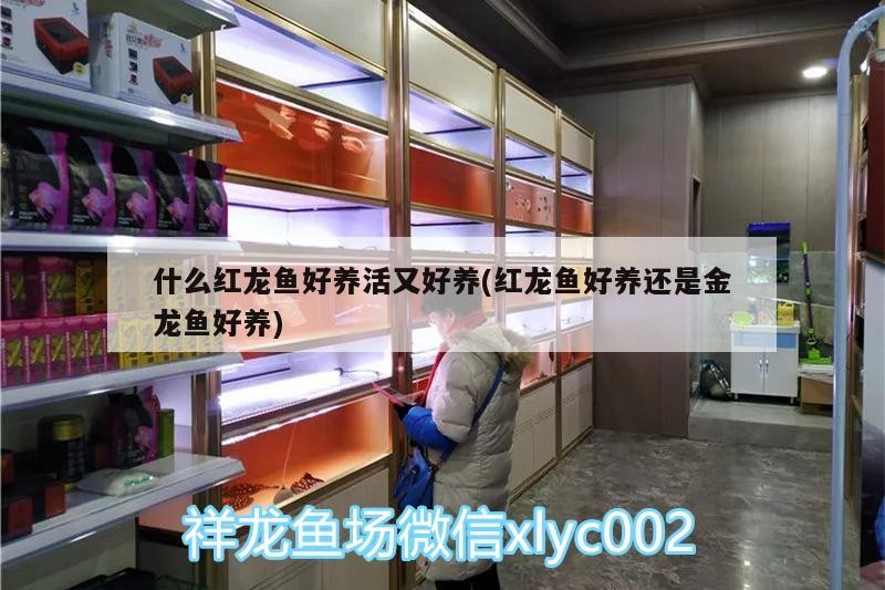 常州霆邦水族科技有限公司