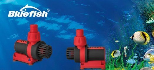 魚(yú)缸過(guò)濾器什么牌子：魚(yú)缸過(guò)濾器品牌介紹