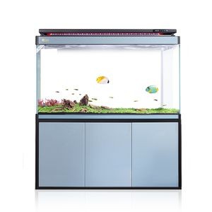 十大龍魚魚缸品牌排行榜：2024年十大龍魚魚缸品牌 十大龍魚魚缸品牌排行榜：2024年十大龍魚魚缸品牌 魚缸百科 第5張