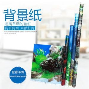 缸內無管件魚缸選擇：無管件魚缸的安全隱患無管件魚缸設計的魚缸設計好處