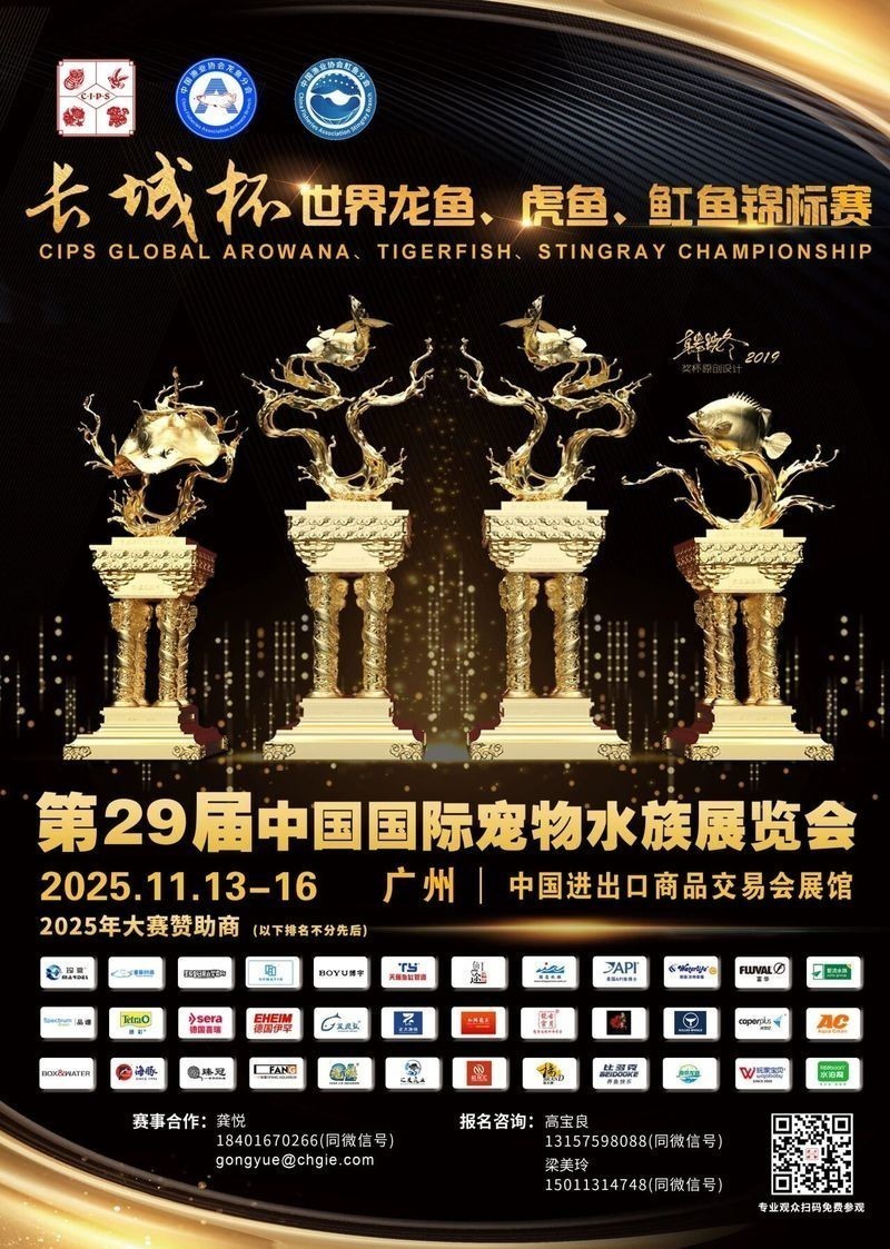 長城杯觀賞魚比賽2025年