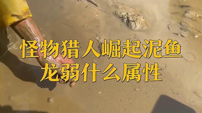 泥龍魚怎么打