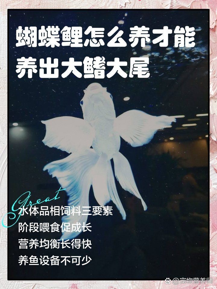 能否提供環境應激對魚類的具體案例，亞馬遜河的熱帶雨林生態系統應激對魚類的生理影響