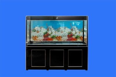 魚缸品牌大全一覽表：市面上最受歡迎的幾個魚缸品牌