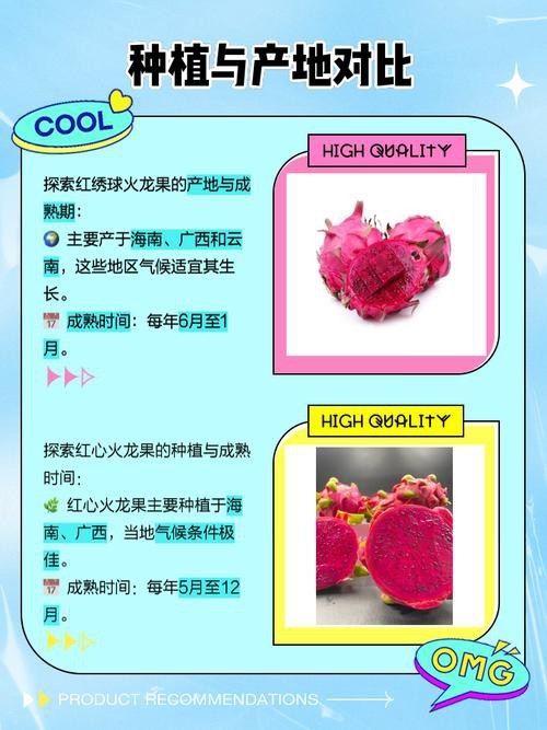 如何挑選新鮮的紅心火龍果？