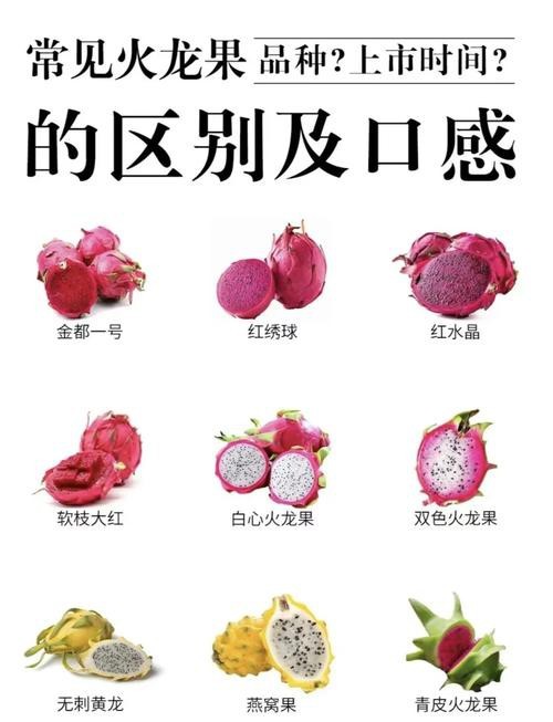 如何挑選新鮮的紅心火龍果？