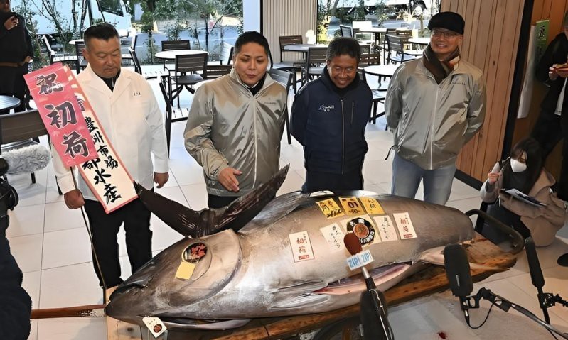 金槍魚2025價目表