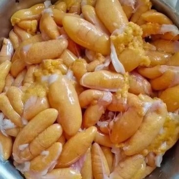 廣州哪里有魚雜批發? 2025長城杯龍魚大賽 第8張 廣州哪里有魚雜批發? 廣州哪里有魚雜批發? 2025長城杯龍魚大賽 第8張