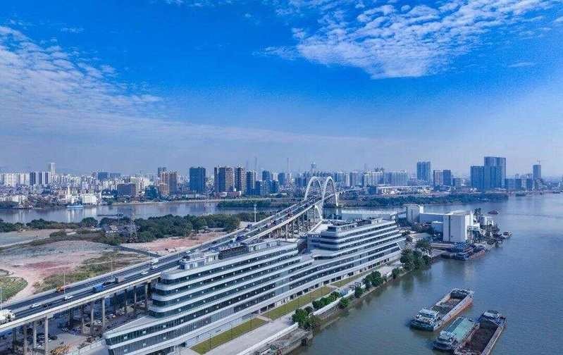 廣州哪里有魚雜批發? 2025長城杯龍魚大賽 第6張 廣州哪里有魚雜批發? 廣州哪里有魚雜批發? 2025長城杯龍魚大賽 第6張