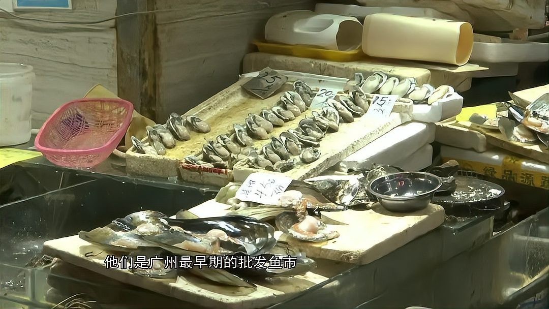 廣州哪里有魚雜批發? 2025長城杯龍魚大賽 第7張 廣州哪里有魚雜批發? 廣州哪里有魚雜批發? 2025長城杯龍魚大賽 第7張