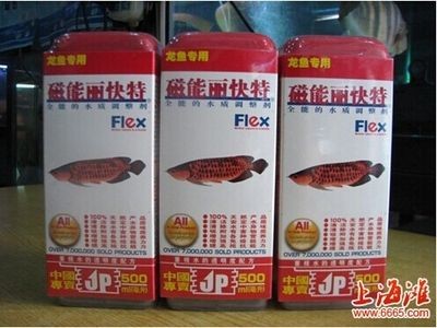網購龍魚哪個平臺好一點（龍巔魚鄰如果您更注重交流和獲取全面信息）