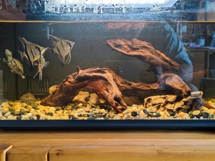小米魚缸能不能加熱：小米魚缸專用加熱棒與其他品牌對比小米魚缸加熱棒
