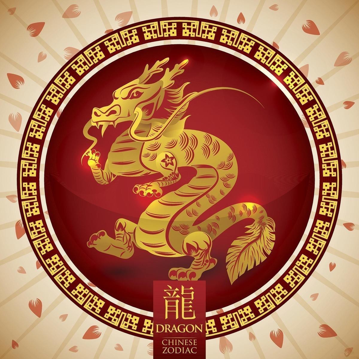 帶龍魚的成語