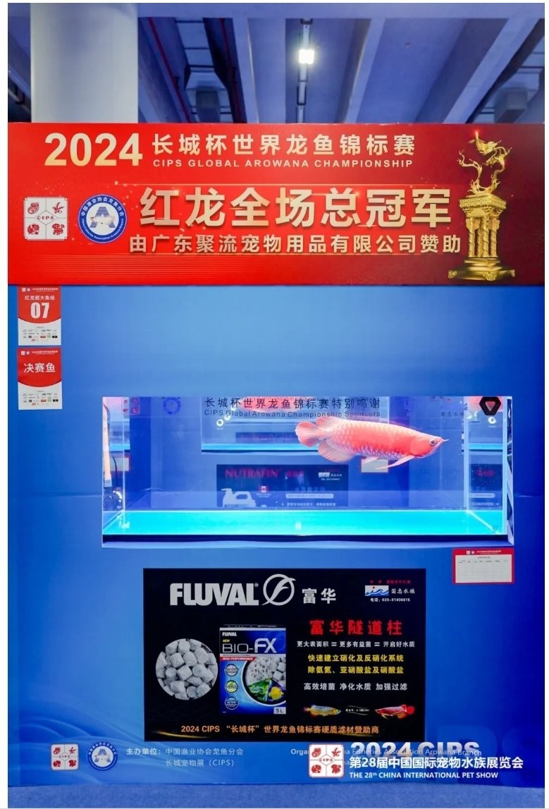 長城杯龍魚大賽的官方網站是什么？