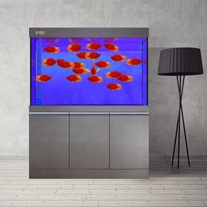 魚缸emma：emma魚缸與森森對比評測