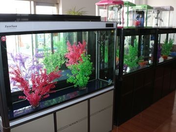 龍魚傷口自愈后多久恢復正常，如何判斷龍魚傷口是否感染