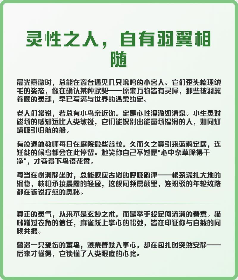 蝴蝶靠近有靈氣的人