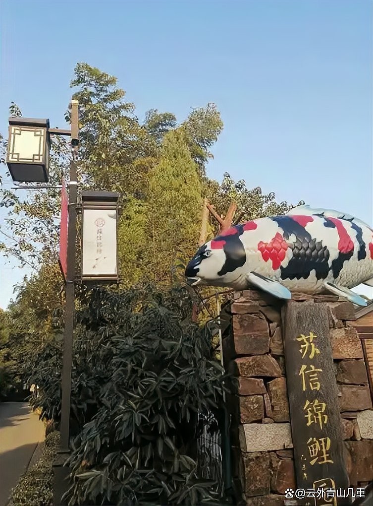 500萬紅龍魚現在在哪里？