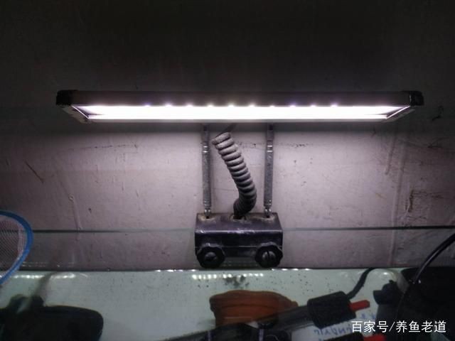 德根寶魚缸燈的安裝步驟：魚缸燈的安裝步驟和步驟：德根寶品牌魚缸燈的安裝步驟 德根寶魚缸燈的安裝步驟：魚缸燈的安裝步驟和步驟：德根寶品牌魚缸燈的安裝步驟 魚缸百科 第1張