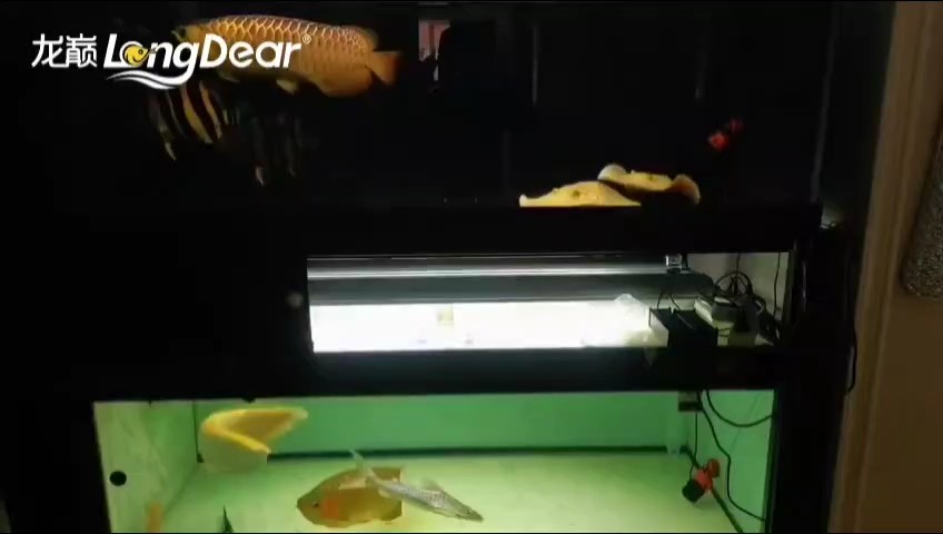 事事順遂，會越來越好，你南無阿彌陀佛??????