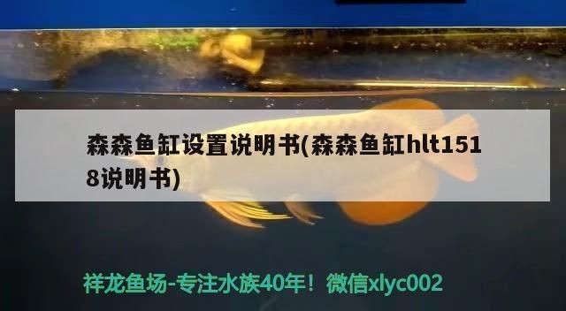 森森魚缸使用方法視頻：森森魚缸使用方法