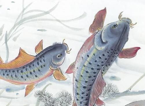 龍鳳鯉魚風水寓意解析：龍鳳鯉魚在風水學中有什么寓意？