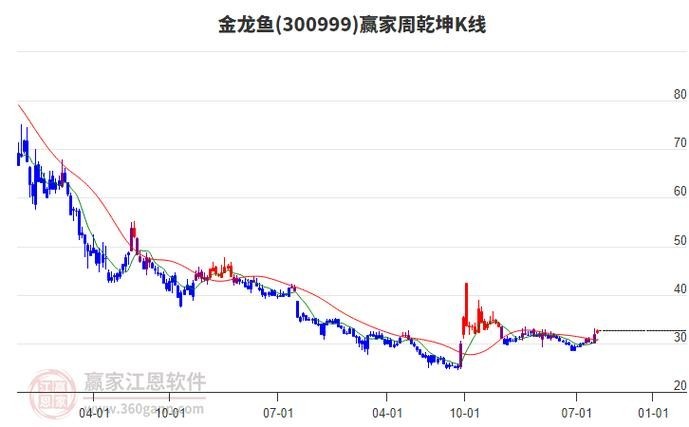 金龍魚的市場價格近期有波動嗎？