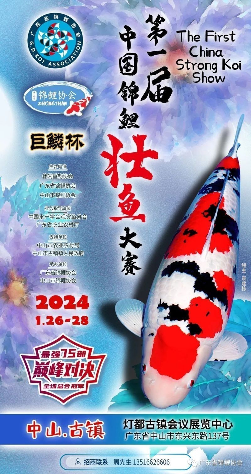紅龍魚大賽的報名流程是怎樣的？