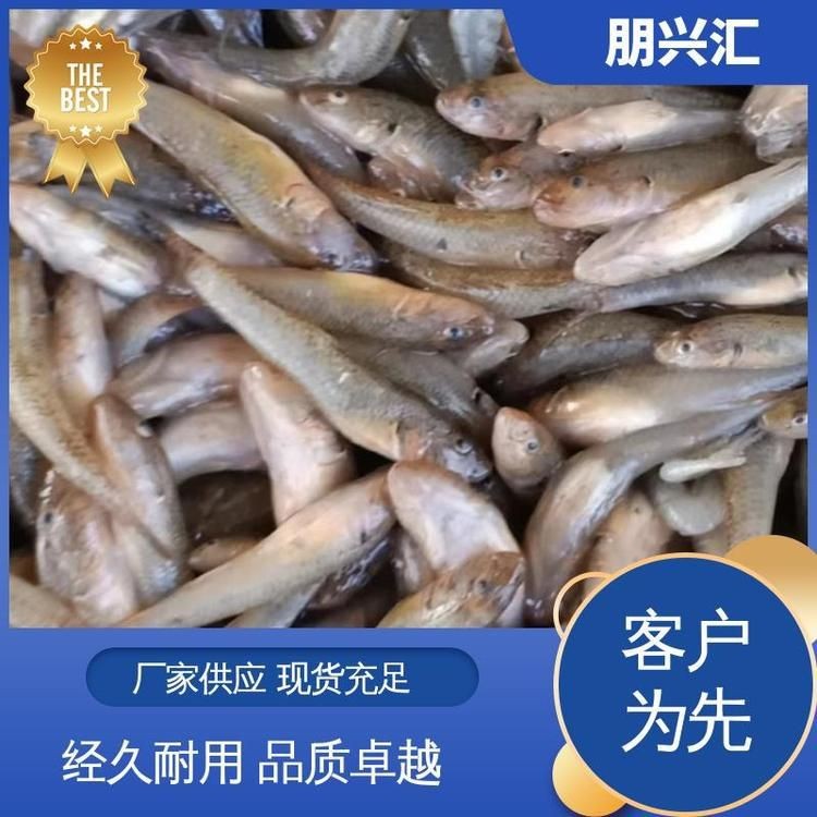 虎魚一斤多少錢