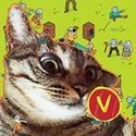 虎魚一斤多少錢
