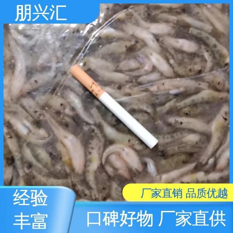 虎魚一斤多少錢