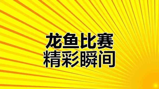 龍魚比賽是比什么