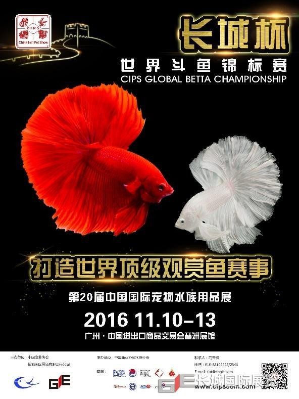 長城杯中國斗魚比賽的歷史戰績
