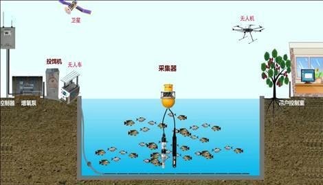 彭學(xué)通是如何培育出超大金龍的？