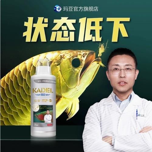 有哪些龍魚專用維生素推薦？
